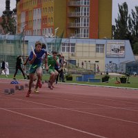 IMG 4636